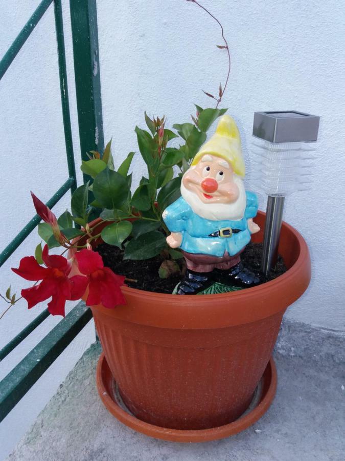 סקארדין Holiday House Ana מראה חיצוני תמונה